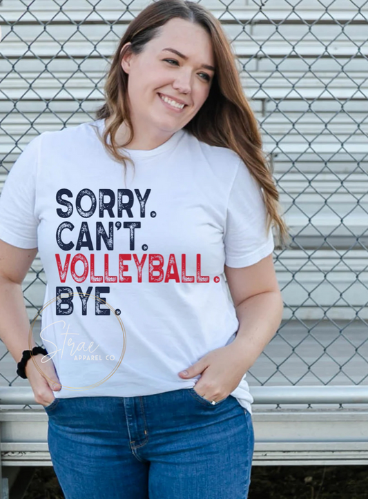 Sorry Can’t Volleyball